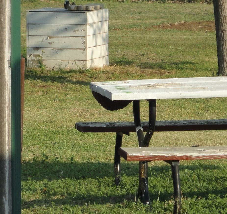DSC00002