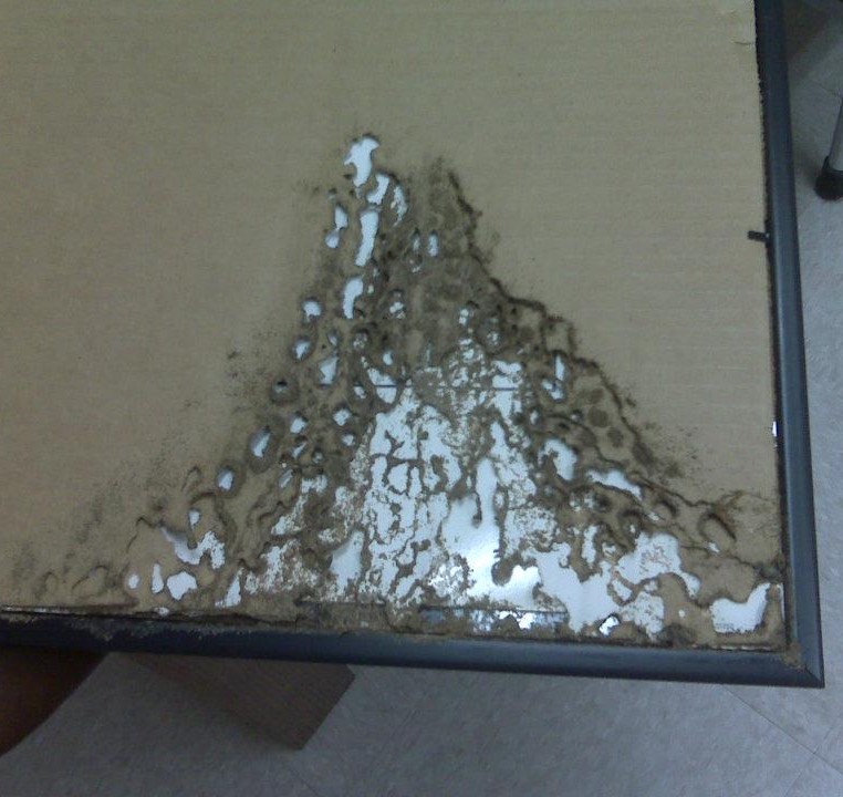 picdocsoffice