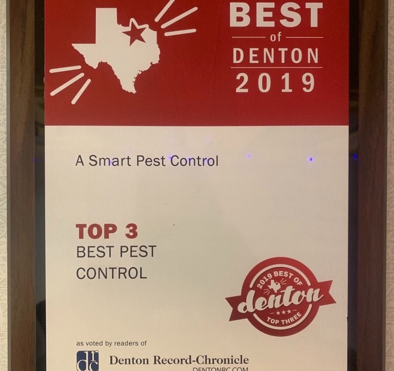 top32019